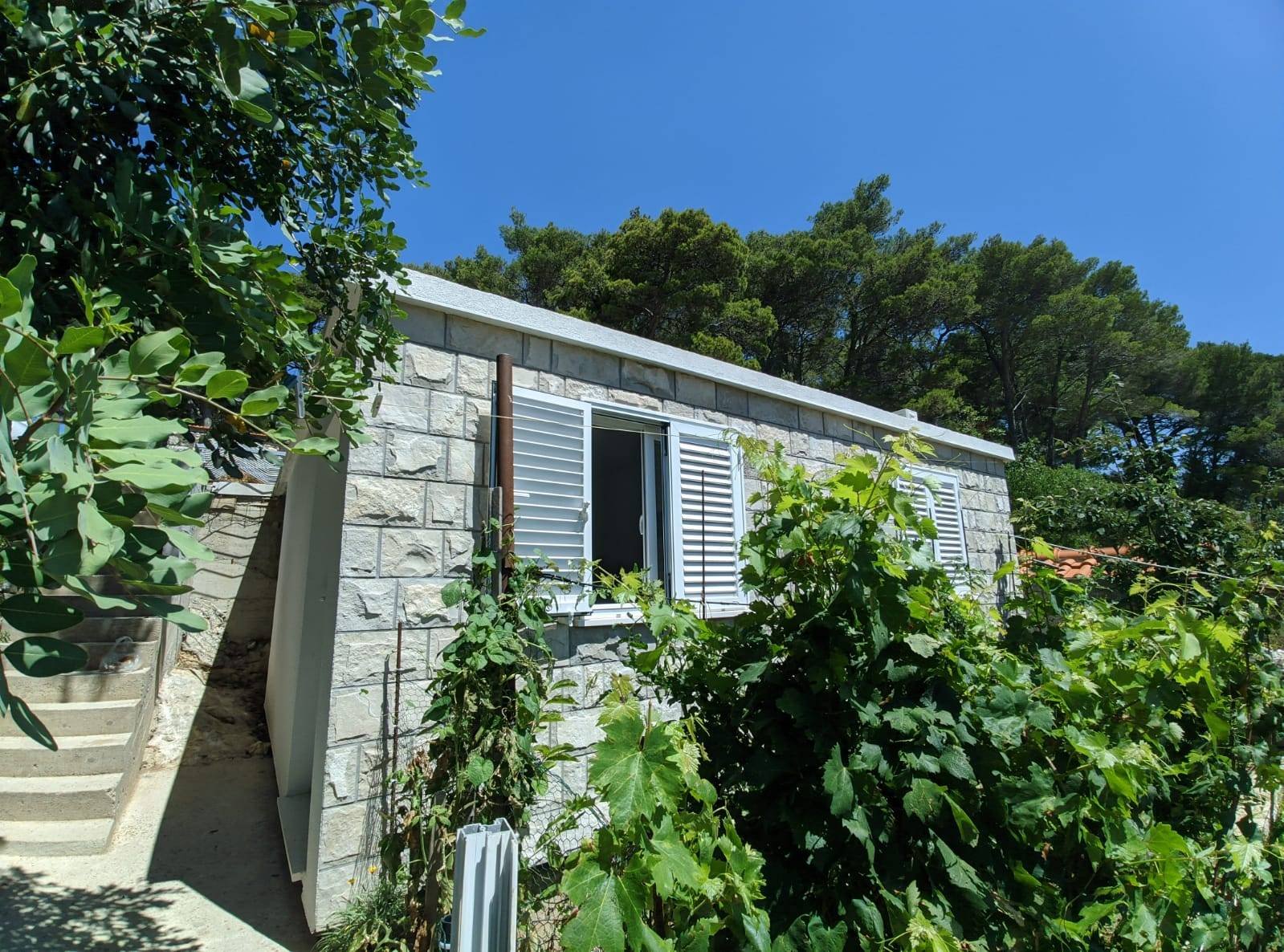 whatsapp image 2022 02 14 at 19.59.09